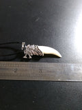 Wolf Fang Necklace