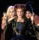 hocus pocus book