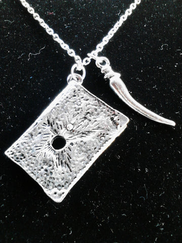 Riddle's Diary with Basilisk Fang Necklace